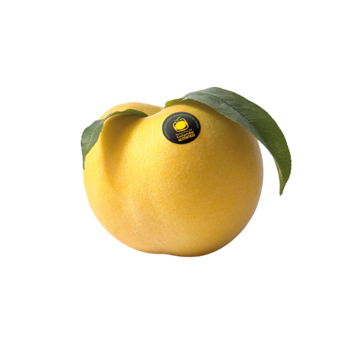 melocotonCa